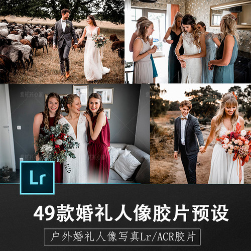 欧美户外婚礼婚纱人像写真胶片味道Lr/acr手机Lr调色预设A18