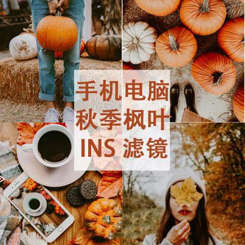 秋天枫叶 温暖色调 ins旅拍人像 手机版 电脑LR预设PS滤镜S52