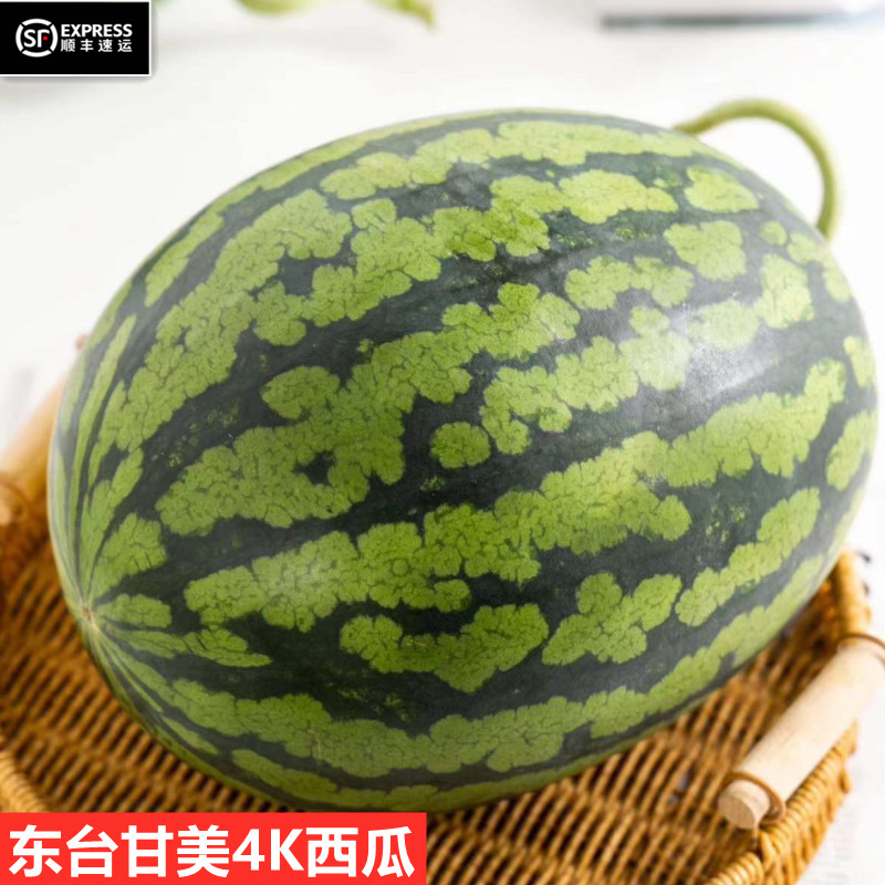 精选正宗江苏东台甘美4k西瓜酥脆浓郁甜多汁高成熟度新鲜礼盒顺丰