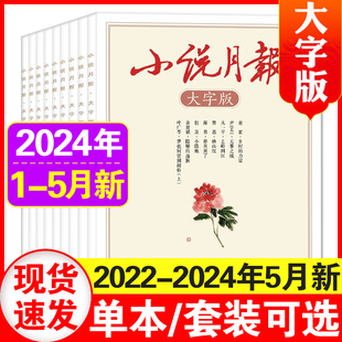 小说月报大字版 杂志2024年1 另有2024订阅可选 12月打包 2023年1 12月2022年1 5月 青春文学书籍人文历史散文古诗词