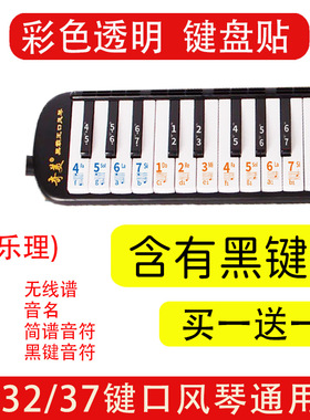 适用奇美铃木口风琴键盘贴37键32键贴纸小学生专用琴键数字音标贴