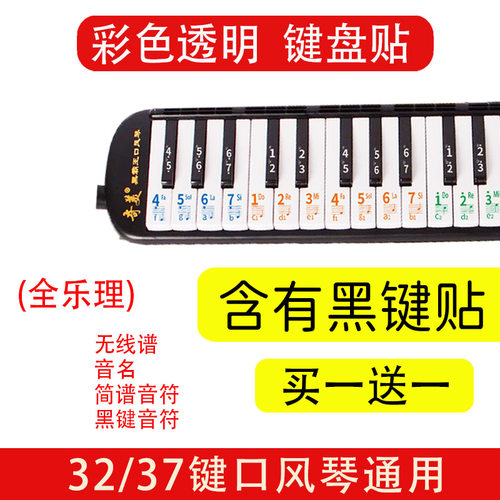 适用奇美铃木口风琴键盘贴37键32键贴纸小学生专用琴键数字音标贴