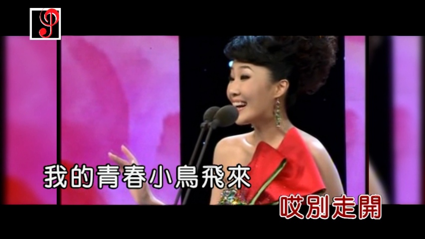 刘玥 青春舞曲  视频KTV  卡拉OK 带高品质伴奏