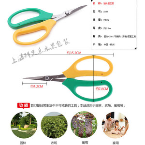 汪吾铨不锈钢家用剪刀弹簧采果剪果树剪修枝剪葡萄剪刀子包邮
