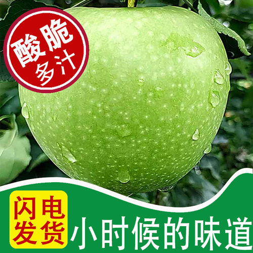 杨凌青苹果新鲜脆酸甜孕妇水果应季低糖三高酸澳洲肝胆排格森