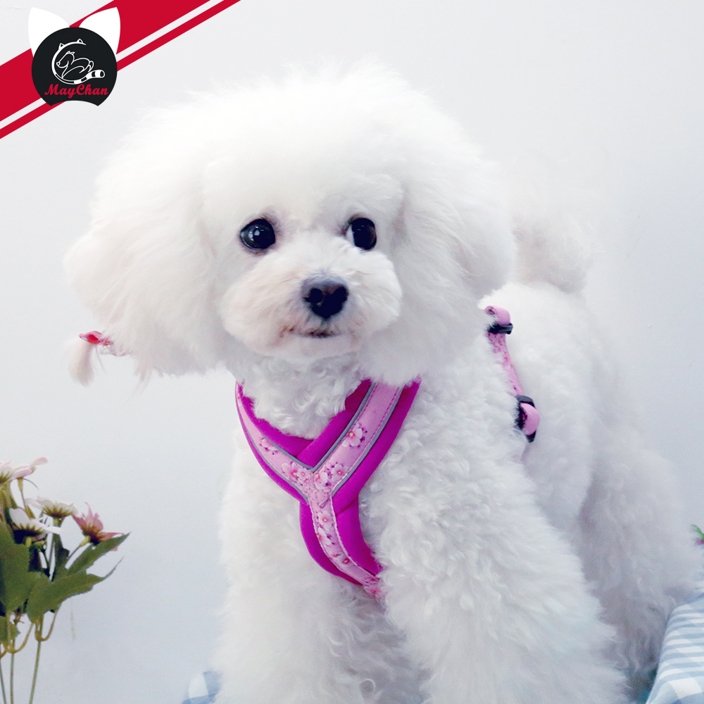 柔软舒适牢固耐用夜间反光胸背带