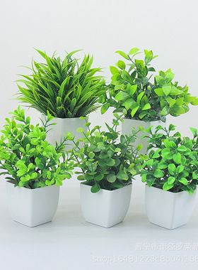 跨境热卖仿真绿植小盆栽室内外造景摆件家居装饰塑料尤加利小盆景
