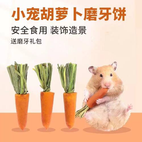 仓鼠零食磨牙小胡萝卜营