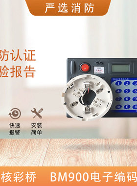 彩桥编码器BM900电子编码器
