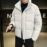 冬季男士立领羽绒服百搭潮流简约纯色休闲感蓬松羽绒衣Y2586-P235，男装羽绒服，电商A239