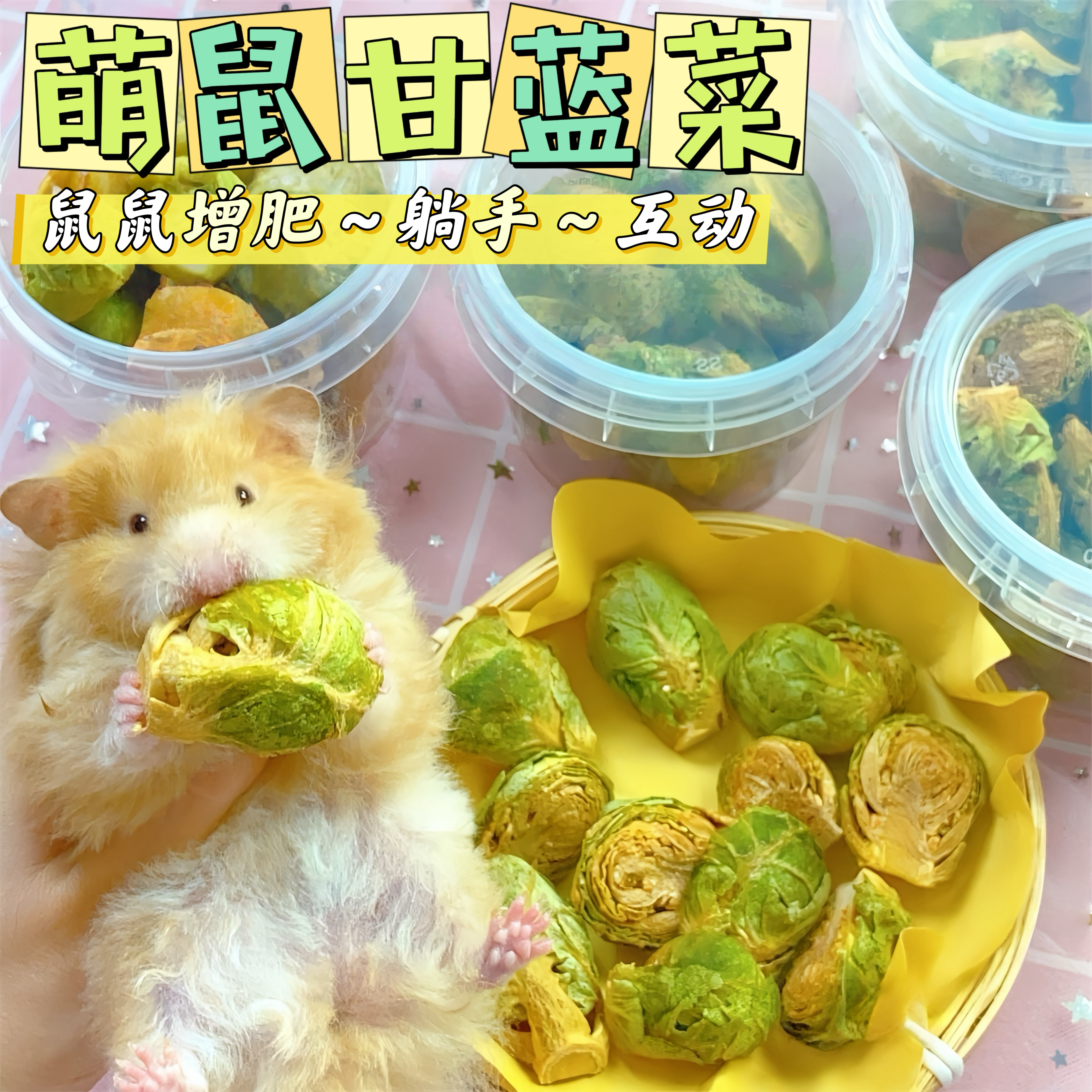 鲜烘焙仓鼠零食冻干孢子甘蓝营养蔬菜干兔子金丝熊磨牙补钙粮食,宠物/宠物食品及用品,鼠类零食,淘宝优惠券,粉丝福利购,淘宝优惠卷