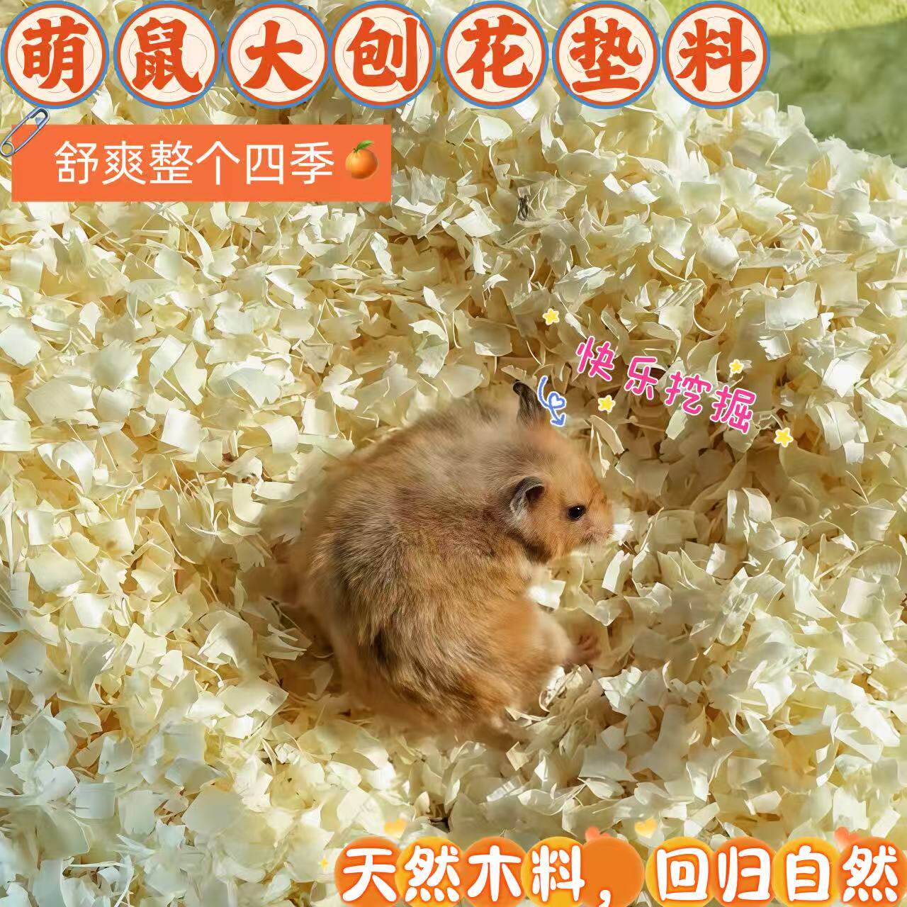 白杨刨花垫料仓鼠除臭无尘夏季图片