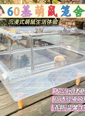 60基仓鼠水晶笼金丝熊笼子亚克力专用透明笼超大空间造景宠物用品