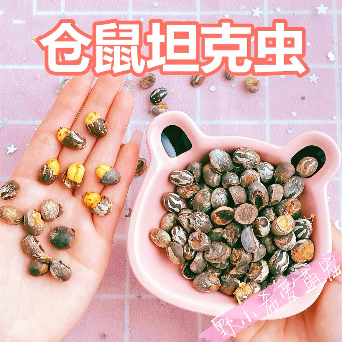 蜜袋坦克虫粮食高蛋白增肥杨拉罐