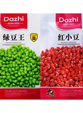 红豆种子绿豆种子红小豆种子不爬藤豇豆红豆种籽五谷杂粮