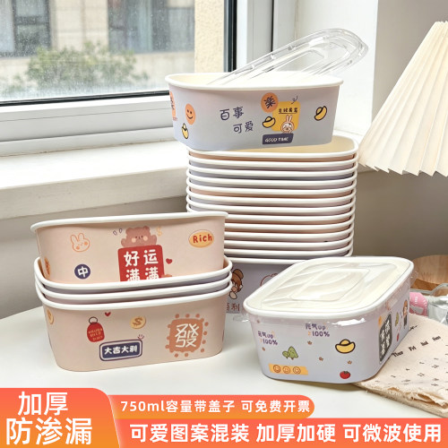 一次性野餐盒长方形外卖打包盒子