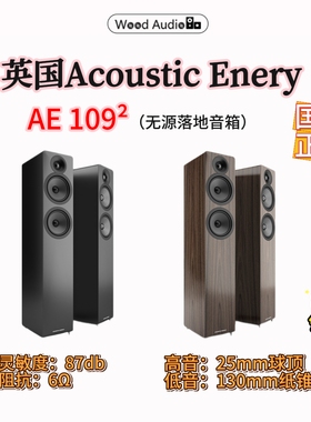 英国Acoustic Energy AE109&sup2;落地音箱2.5分频HIFI箱MK2#杭州
