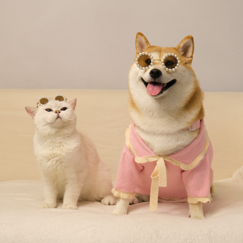 柏万同款柴犬眼镜宠物狗狗珍珠墨镜猫咪拍照道具太阳镜可爱头饰