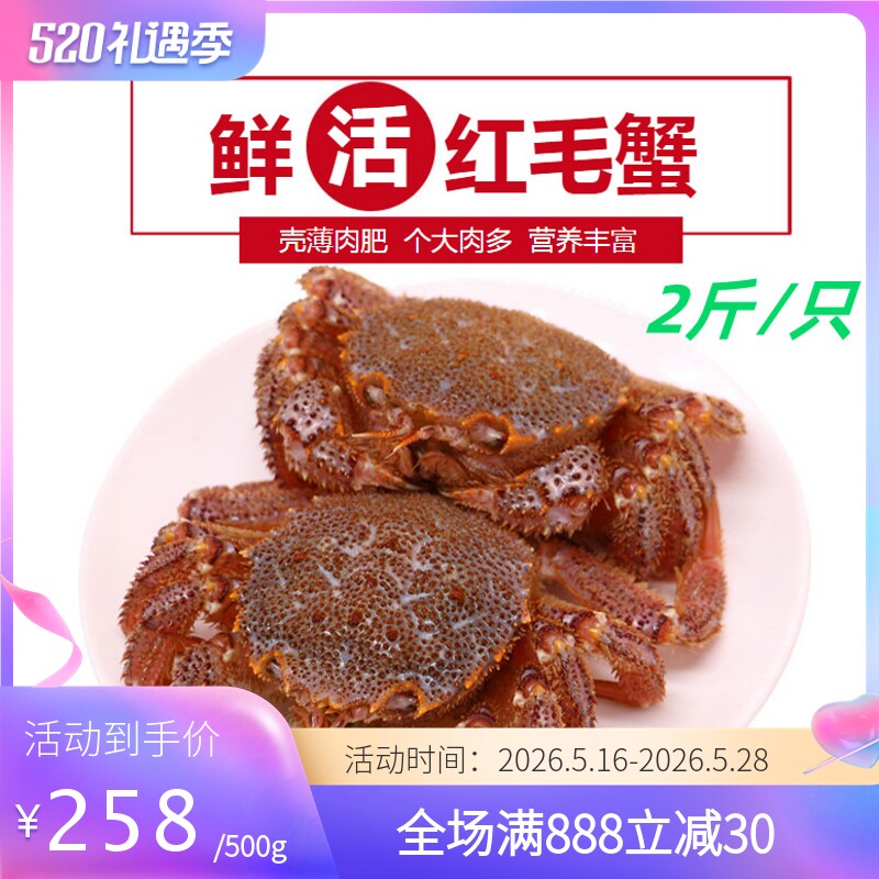 鲜活大红毛蟹 鲜活进口海鲜螃蟹 俄罗斯非日超大红毛蟹  2斤/只