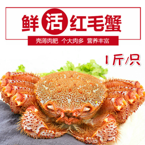 北海道红毛蟹红毛蟹1斤左右/只