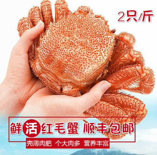 俄罗斯红毛蟹进口野生