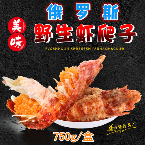 25年进口野生俄罗斯爬子特大龙虾