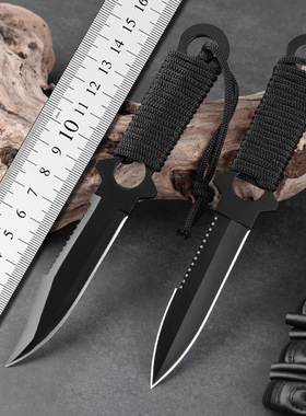 刀具防身冷兵器直刀野营水果刀高硬度求生刀野外多功能小刀手把肉