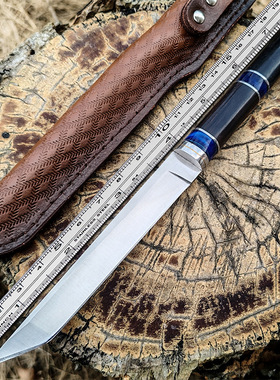 刀家用瓜果刀露营烧烤吃肉小刀牛排小刀水果刀野外防身直刀开刃