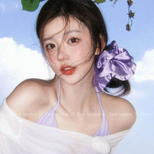 芭蕾风花边紫色丝绸大肠发圈女韩系高级感超大肥肠发绳扎丸子头绳