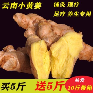 云南小黄姜10斤碎姜小姜新鲜生姜新鲜包邮老姜理疗黄姜包邮小黄姜