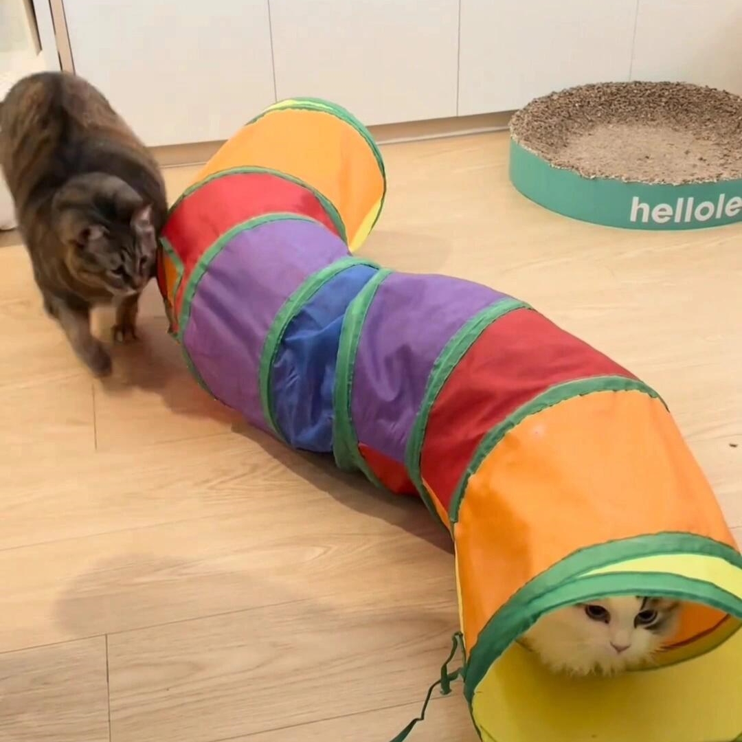 猫咪玩具！猫隧道也有好好研究