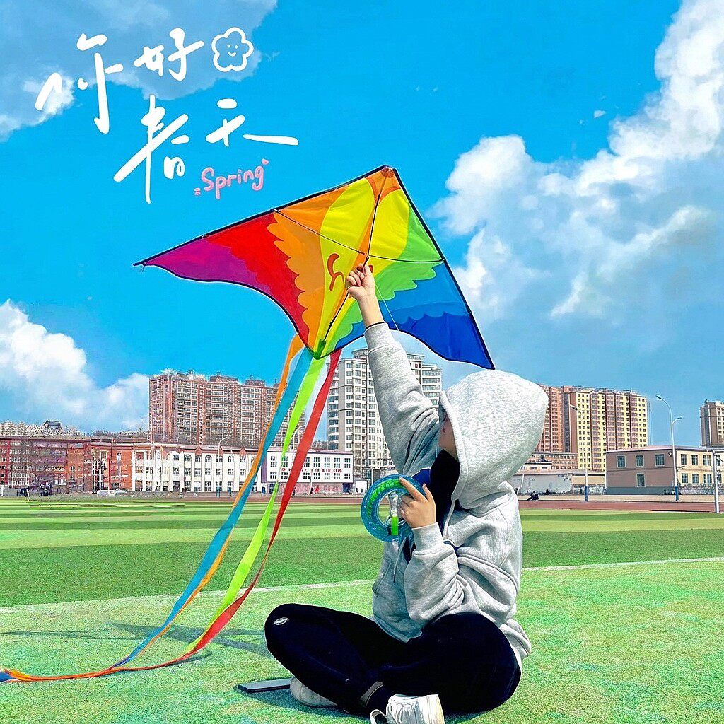 凤凰神器春游风筝线板拍照易飞非手持微风潍坊线轮七彩纸鸢打卡遗