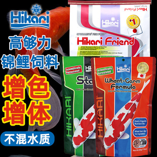 Hikari日本高够力锦鲤饲料育成鱼食锦鲤鱼饲料增体高蛋白增艳鱼粮