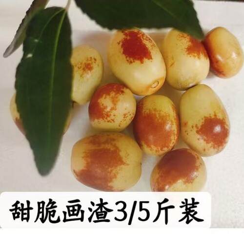 现摘现发 四川三台永新崭山米枣5斤装甜脆化渣空运
