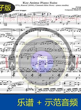 【高清】A叔Animenz原版 key社组曲串烧 独奏钢琴谱9页送示范音频