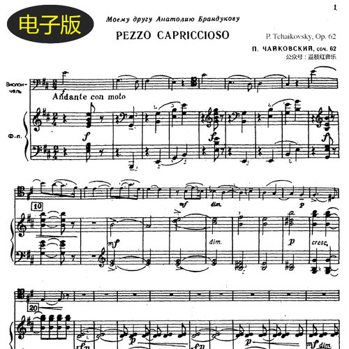 柴可夫斯基 随想曲 钢琴与大提琴重奏谱合奏总分谱 非高清 v635