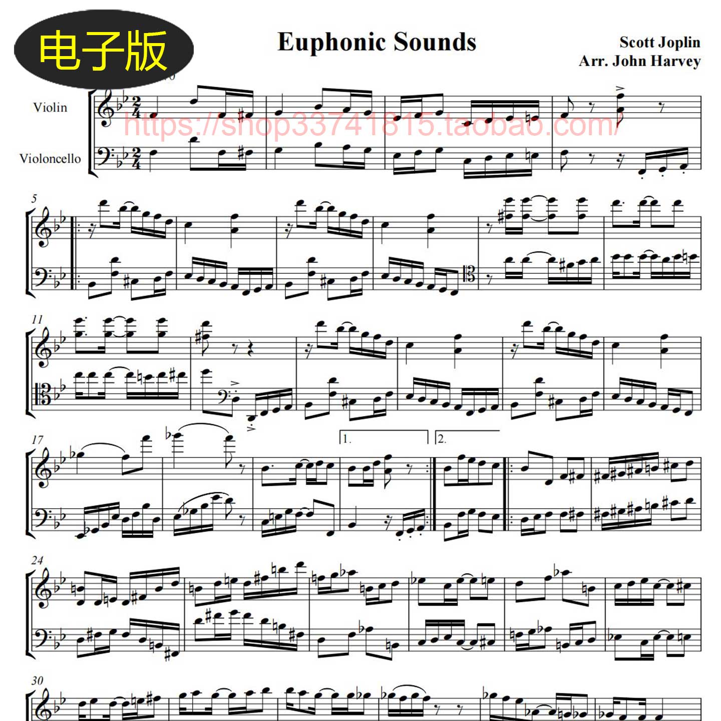 乔普林Euphonic Sounds拉格泰姆二步舞曲 大小提琴二重奏总谱图片