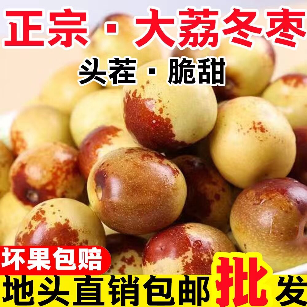 SF发货大荔冬枣陕西特产自家果园现摘现发当季鲜脆枣零食即食大果