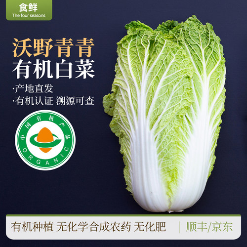 沃野青青有机白菜陕西露天种植自然生长新鲜时令蔬菜烹饪炖煮食材