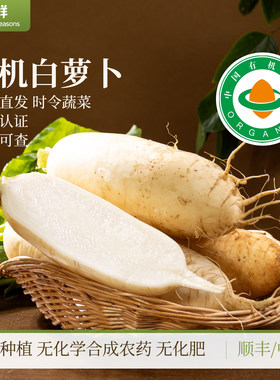 有机白萝卜露天种植新鲜时令蔬菜皮薄肉厚生吃凉拌煲汤腌制泡菜