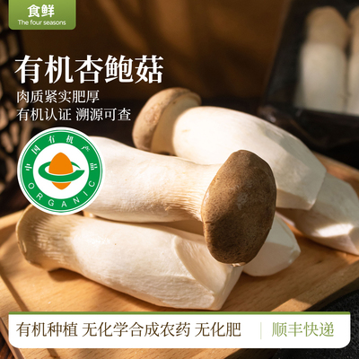 有机杏鲍菇新鲜食用菌菌菇蔬菜蘑菇肉厚鲜嫩烹饪煲汤炒菜顺丰包邮