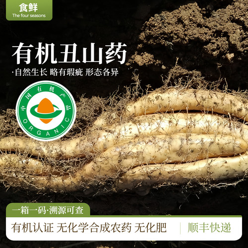 有机山药丑山药有机蔬菜自然生长形态各异无化学合成药剂蒸煮食用