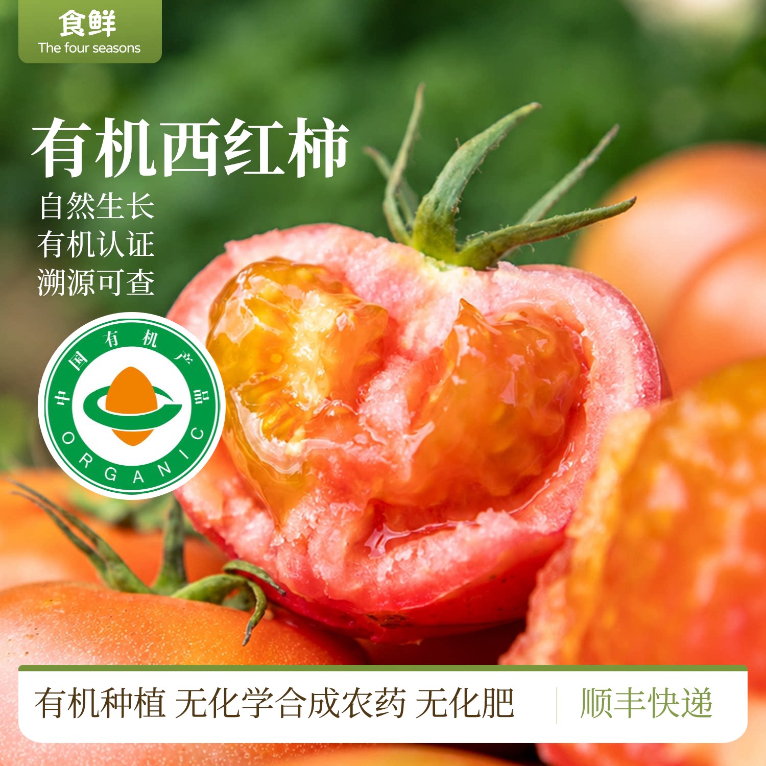 云南有机西红柿自然成熟新鲜采摘多汁有机蔬菜产地直发烹饪凉拌