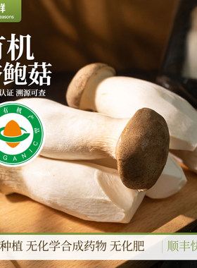 有机杏鲍菇新鲜食用菌菌菇蔬菜蘑菇肉厚鲜嫩烹饪煲汤炒菜顺丰包邮