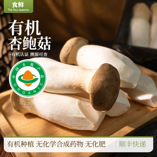 有机杏鲍菇新鲜食用菌菌菇蔬菜蘑菇肉厚鲜嫩烹饪煲汤炒菜顺丰包邮