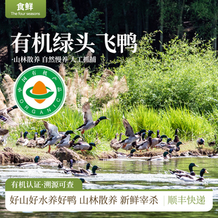 有机鸭肉绿头鸭散养放养有机认证新鲜宰杀速冻顺丰包邮煲汤烹饪