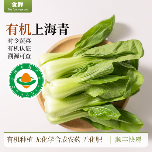 有机上海青新鲜时令有机蔬菜自然生长脆嫩青菜凉拌烹饪火锅食材
