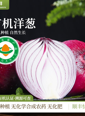 有机洋葱新鲜蔬菜凉拌烹饪生吃多规格顺丰包邮紫红色洋葱头圆葱