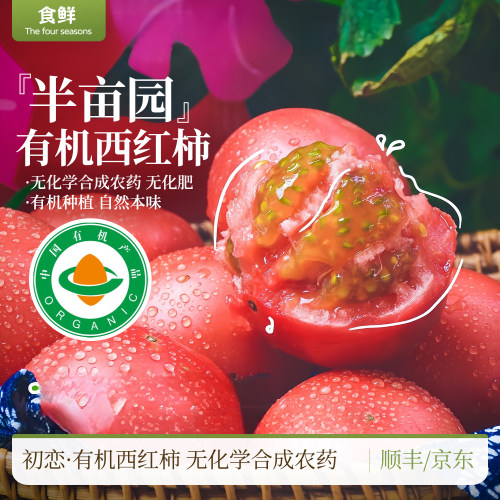 新疆有机西红柿半亩园番茄自然生长新鲜采摘时令蔬菜生吃凉拌烹饪