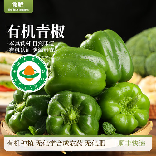 有机青椒圆椒有机种植自然成熟现摘现发深浅不一顺丰包邮凉拌烹饪